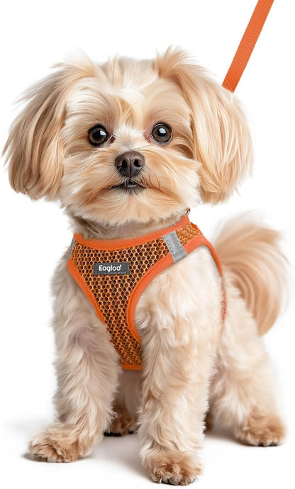 Eagloo Small Dog Harness and Leash Set, Step in Small Sized Puppy Pet Vest | Light, Soft, Breathable Air Mesh, Easy on and off with Hook & Loop, Reflective for Safe Walking, Pink, S45