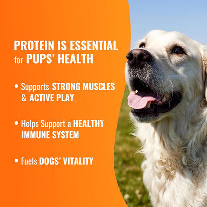 GOOD 'N' FUN Triple Flavor Wraps with Beef Tendon Chews, High-Protein Dog Treat for All Adult Dogs, Made with Real Beef Hide, Chicken & Beef Tendon, 8 Count7