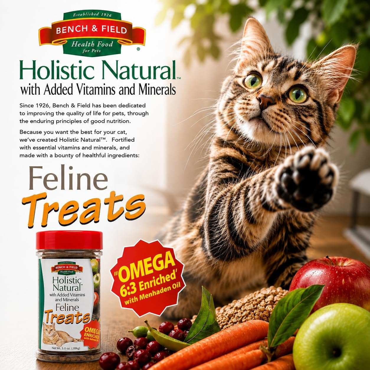 bench-field-holistic-natural-healthy-kitty-cat-treats-crunchy-fish-shaped-bites-delicious-seafood-flavored-snack-3-ounce-pack-of-3-bottles