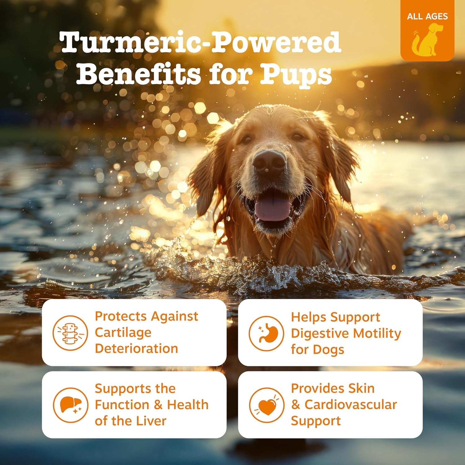 zesty-paws-turmeric-curcumin-for-dogs-for-hip-joint-mobility-supports-canine-digestive-cardiovascular-liver-health-coconut-oil-for-skin-health-with-95-curcuminoids-bioperine-bacon-90-count