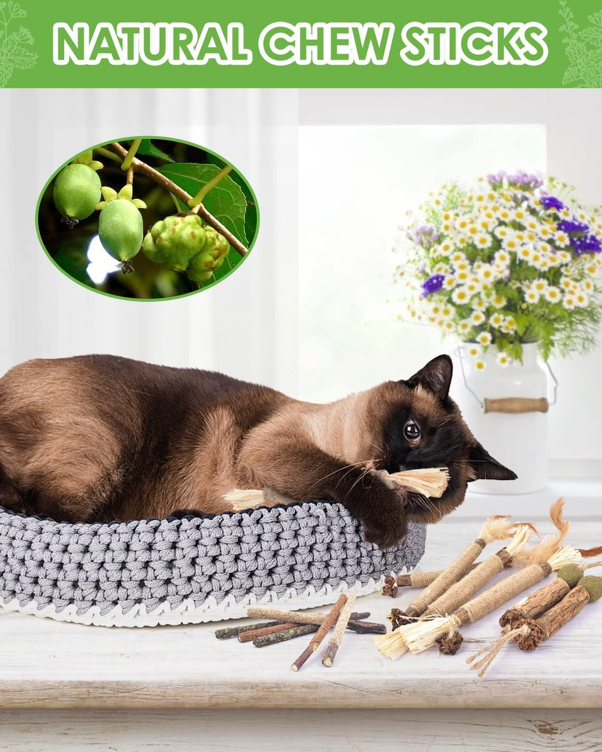 tindtop-catnip-chew-toys-for-cats-12-pack-natural-silvervine-sticks-for-kittens-teeth-cleaning-matatabi-dental-care-increase-appetite-calm-cat-anxiety-and-stress-cat-dental-toy