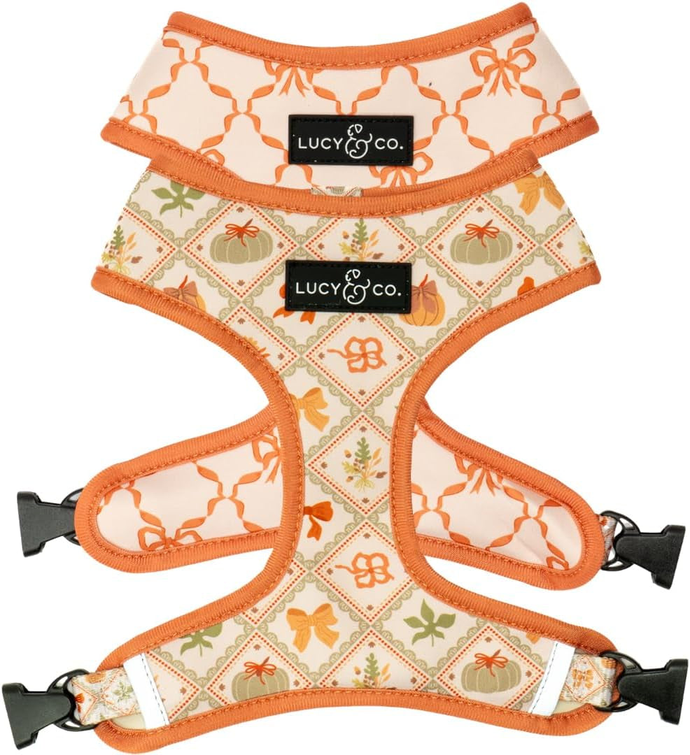 lucy-co-reversible-dog-harness-water-repellent-neoprene-dual-print-design-easy-swap-style-adjustable-comfort-fit-take-a-bow-reversible-harness-small