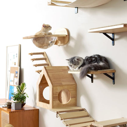 FUKUMARU Cat Wall Furniture Set, Transparent Capsule with 2 PCS Pedals | Kitten Walls Shelves, Premium Kitty Bed, for Sleeping, Playing, Climbing, Lounging, Holds up to 35 Lbs7