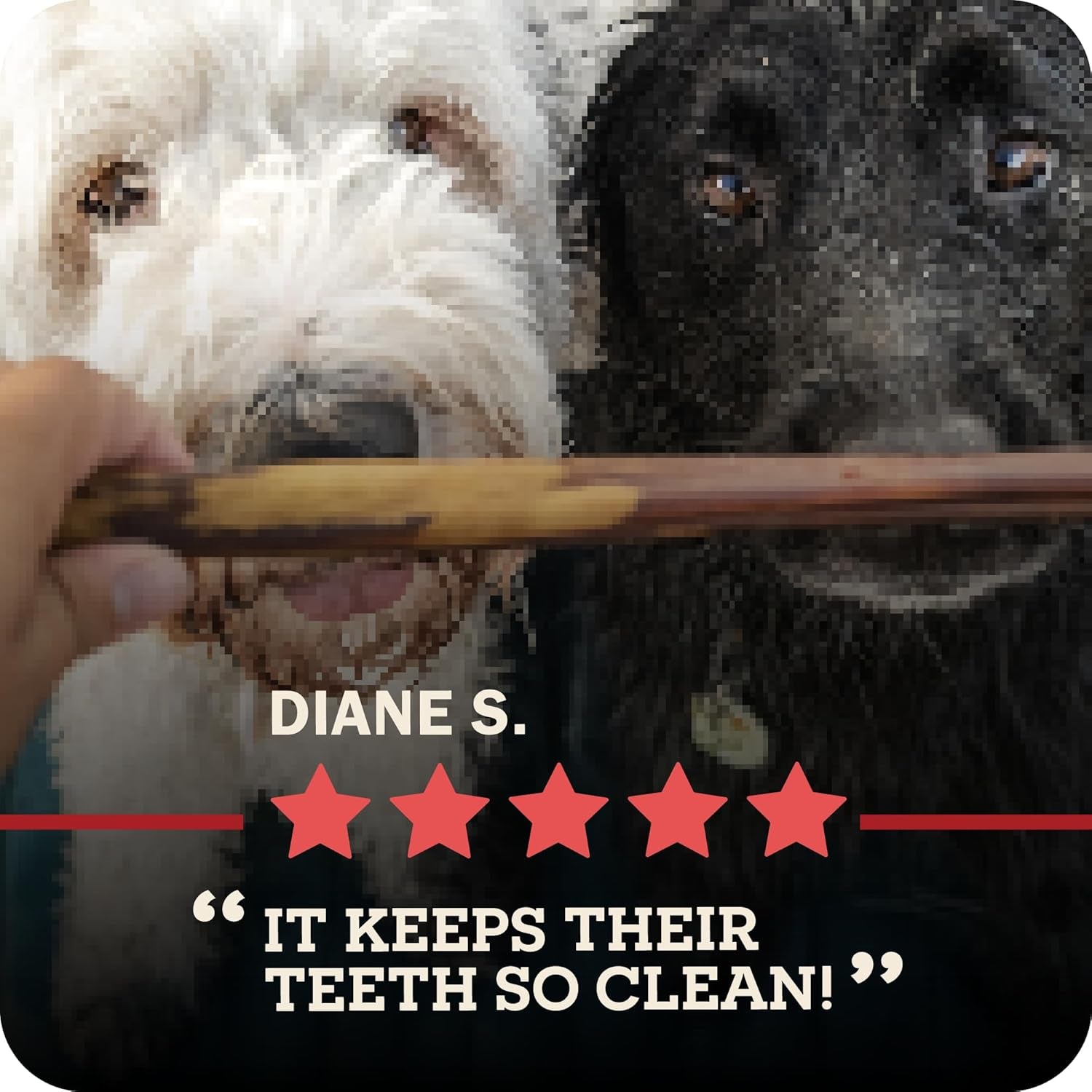 redbarn-premium-bully-sticks-for-dogs-7-inch-6-count-long-lasting-rawhide-free-slow-roasted-low-odor-highly-digestible-single-ingredient-chews-all-natural-dental-treats-for-chewers