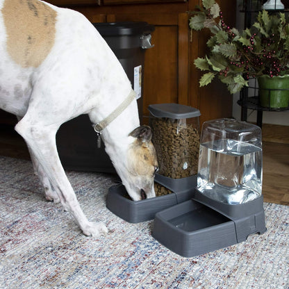 Sportpet Gravity Feeder and Waterer, Large2