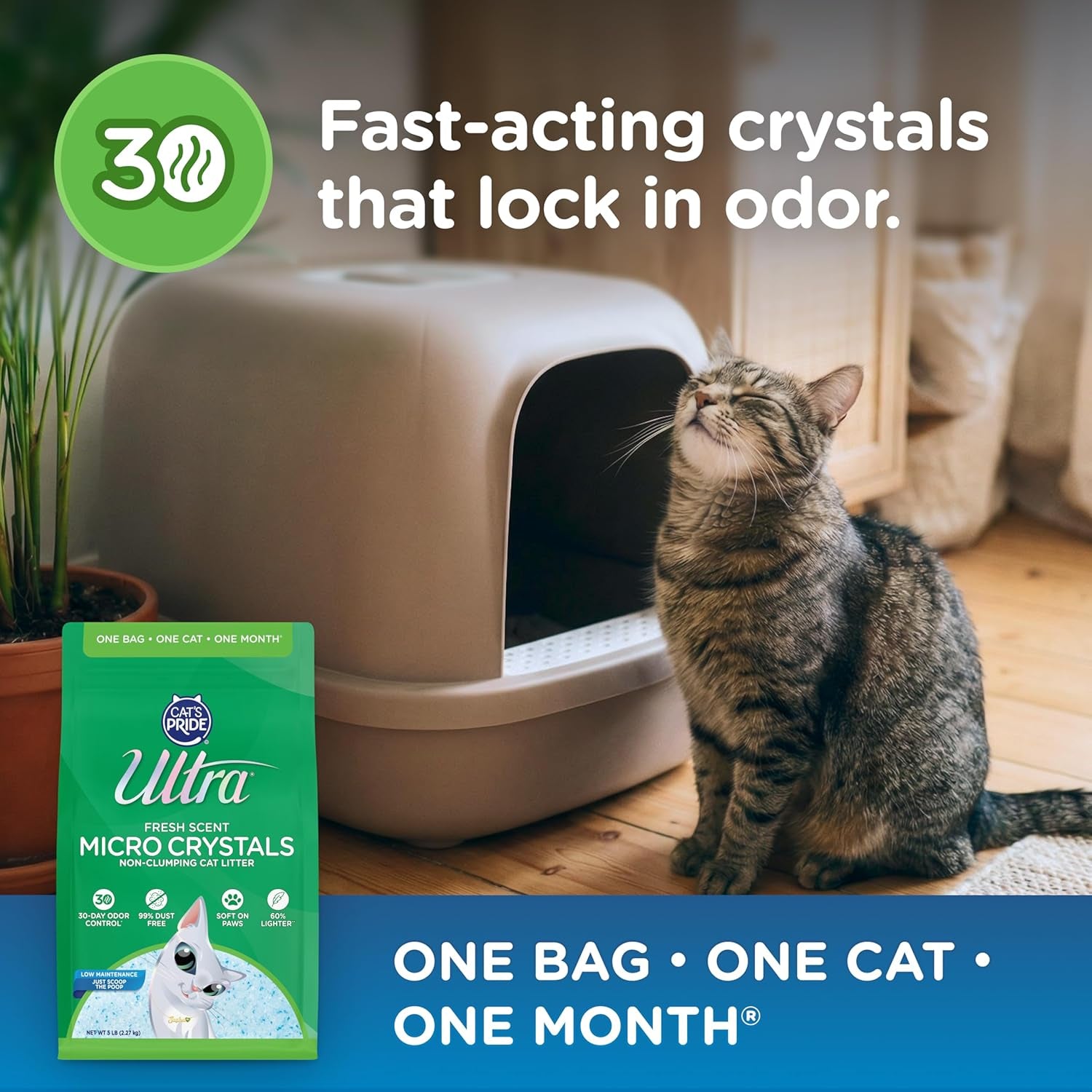 ultra-fresh-scented-micro-crystals-premium-cat-litter-99-9-dust-free-soft-on-paws-5-lbs