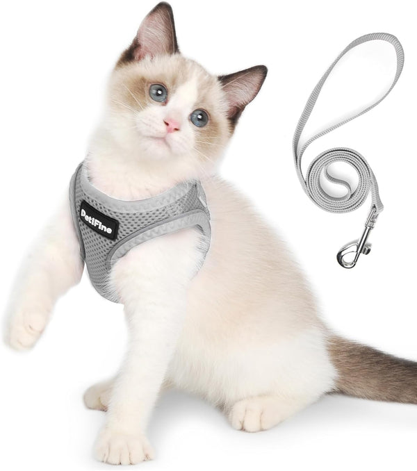 Small Dog Harness and Leash Set Breathable Step-In Puppy Cat Harness,Xs | Reflective for Safe Easy Walking,Soft Light Puppy Vest,Escape Proof,No Pull Harness for Dogs,All Weather Air Mesh Harness10