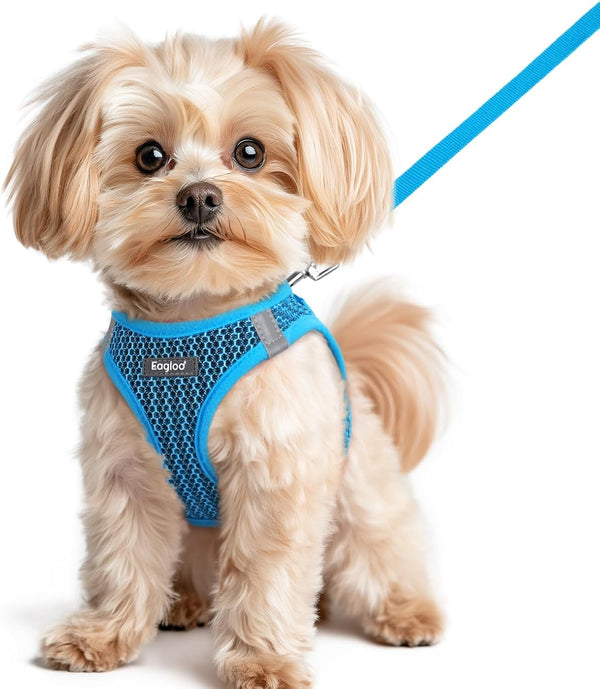 Eagloo Small Dog Harness and Leash Set, Step in Small Sized Puppy Pet Vest | Light, Soft, Breathable Air Mesh, Easy on and off with Hook & Loop, Reflective for Safe Walking, Pink, S42