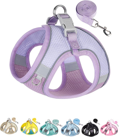 SOLMOONY Dog Harness for Small Medium Large Dogs No Pull, Puppy and Leash Set, Dogs, Step in Harness, Mesh Harness. (Pink, XS)9