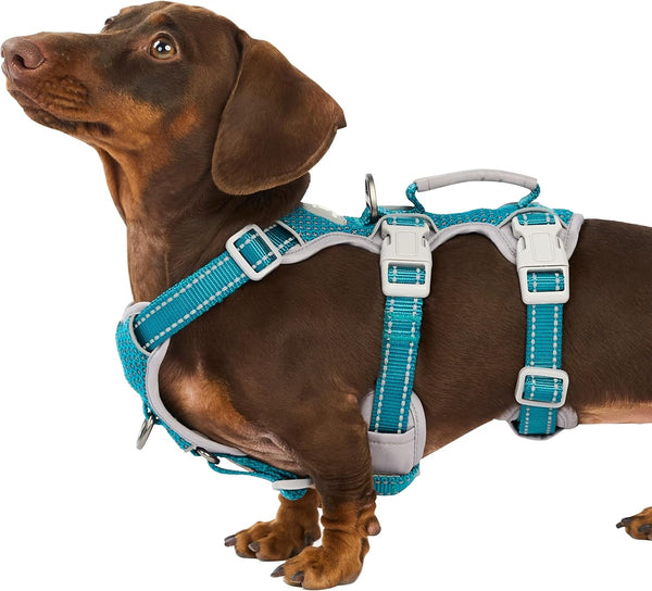 Huntboo Escape Proof Harness, No Slip Dog Harness Escape Proof, Fully Reflective Harness with Handle, Breathable, Durable, Adjustable Vest for Medium Dogs Walking and Training Gear (Black, M)13