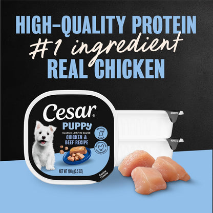 Cesar Puppy Classic Loaf Wet Dog Food, Chicken & Beef, 3.5 Oz, 24 Count | Real Chicken #1 Ingredient, Made in USA, No Fillers or Artificial Flavors, Essential Nutrients, Slow-Cooked, Easy Peel Trays5