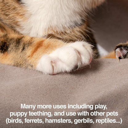 Petfusion Multipurpose Pet Grooming Gloves Great for Trips to Vet and Bathing, Puncture, Scratch & Water Resistant7