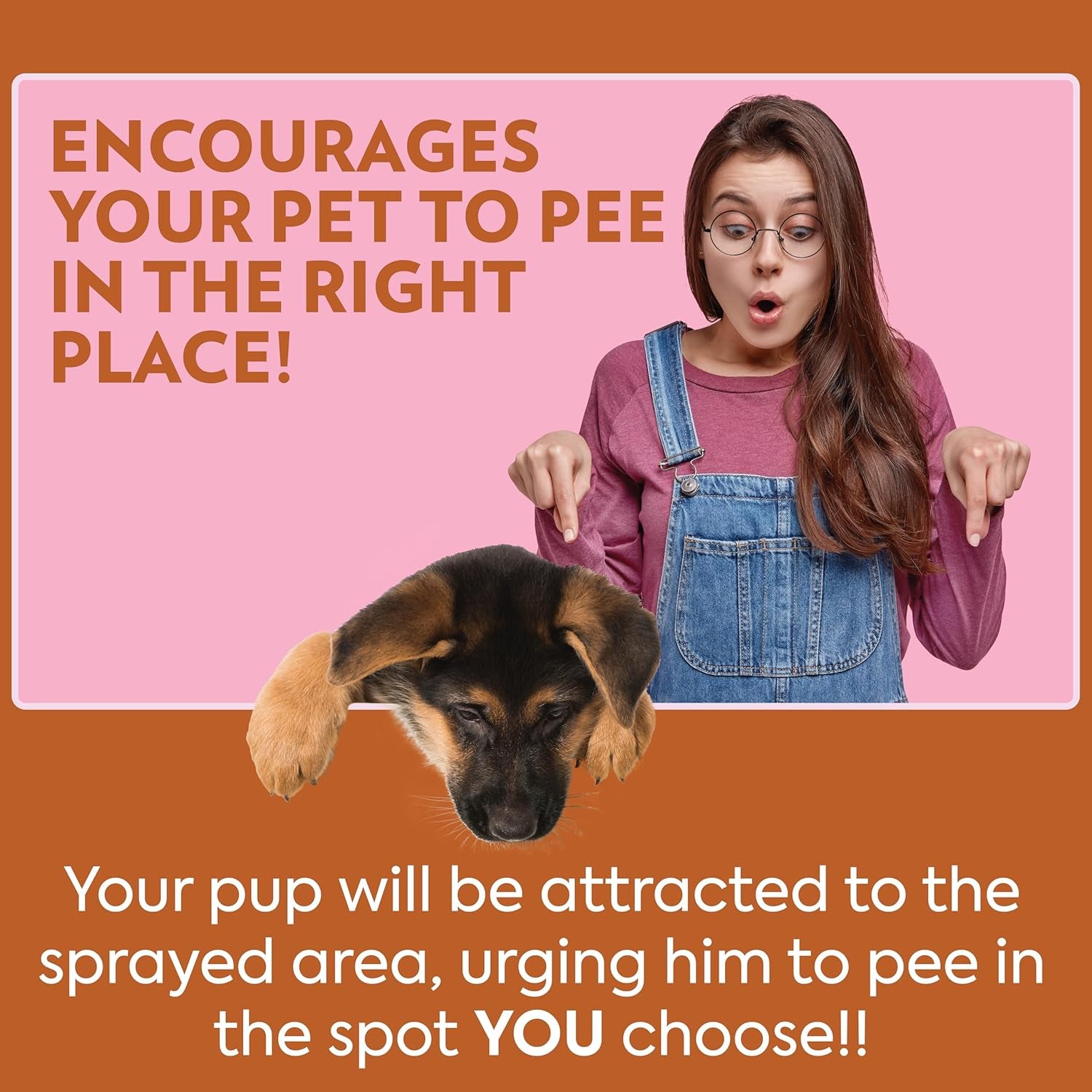 out-petcare-go-here-attractant-potty-training-spray-for-dogs-32oz-dog-pee-spray-puppy-potty-training-housebreaking-indoor-outdoor-pee-here-training-training-aid-easy-application
