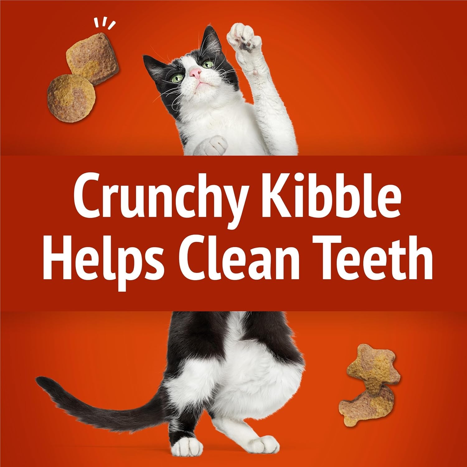 purina-friskies-cat-treats-party-mix-gravy-licious-crunch-chicken-and-gravy-flavors-20-oz-pouch