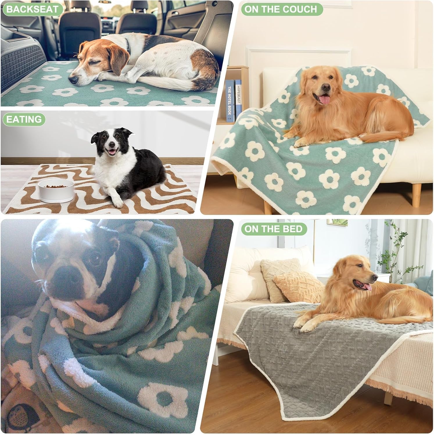 beautyzoo-waterproof-dog-blankets-for-large-dogs-dog-blanket-for-couch-sofa-bed-super-soft-premium-coral-fleece-throw-cat-puppy-blanket-reversible-furniture-protector-washable-pet-blanket-40x60in