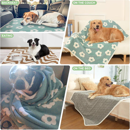 BEAUTYZOO Waterproof Dog Blankets for Large Dogs, Dog Blanket for Couch Sofa Bed, Super Soft Premium Coral Fleece Throw Cat Puppy Blanket, Reversible Furniture Protector, Washable Pet Blanket 40X60In8