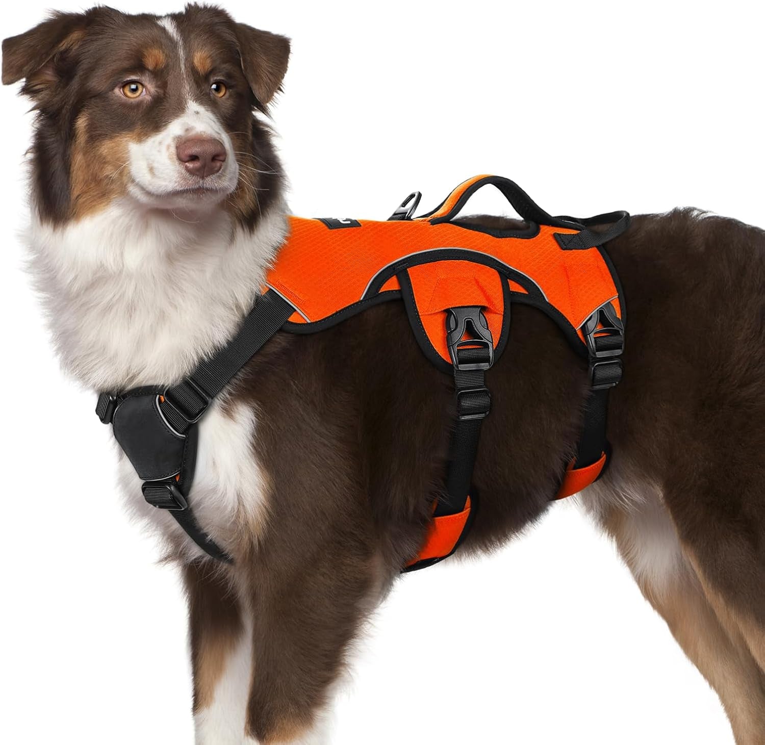 rabbitgoo-escape-proof-dog-harness-for-large-no-pull-with-lift-handle-no-escape-full-soft-padded-reflective-adjustable-vest-leash-clip-for-walking-hiking-training-black-large