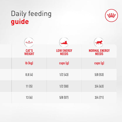Royal Canin Feline Care Nutrition Digestive Care Adult Dry Cat Food, 6 Lb Bag9