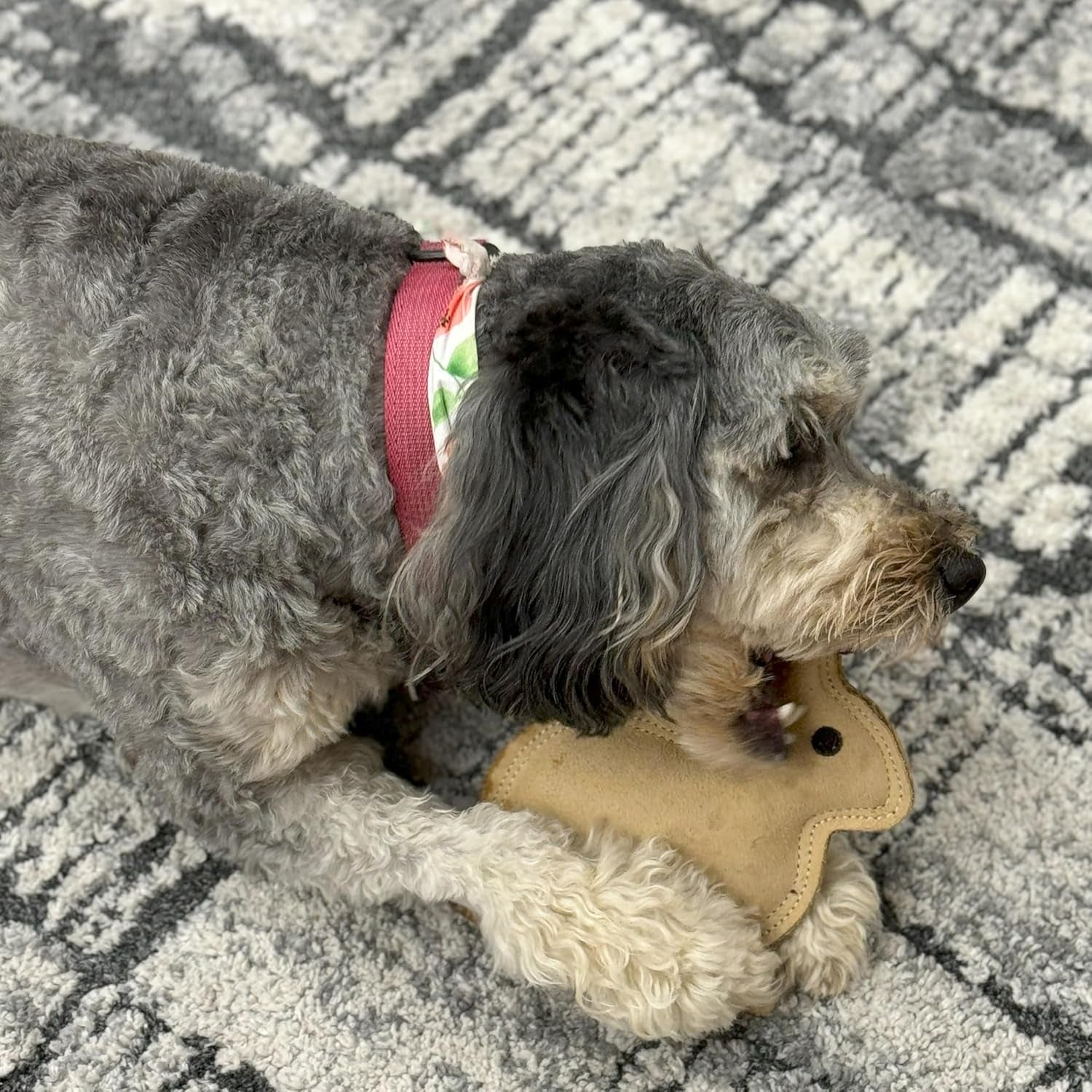 spot-dura-fused-leather-rabbit-dog-toy-durable-real-leather-jute-chew-toy-with-squeaker-double-stitched-for-moderate-chewers-small-medium-dogs-7-5in