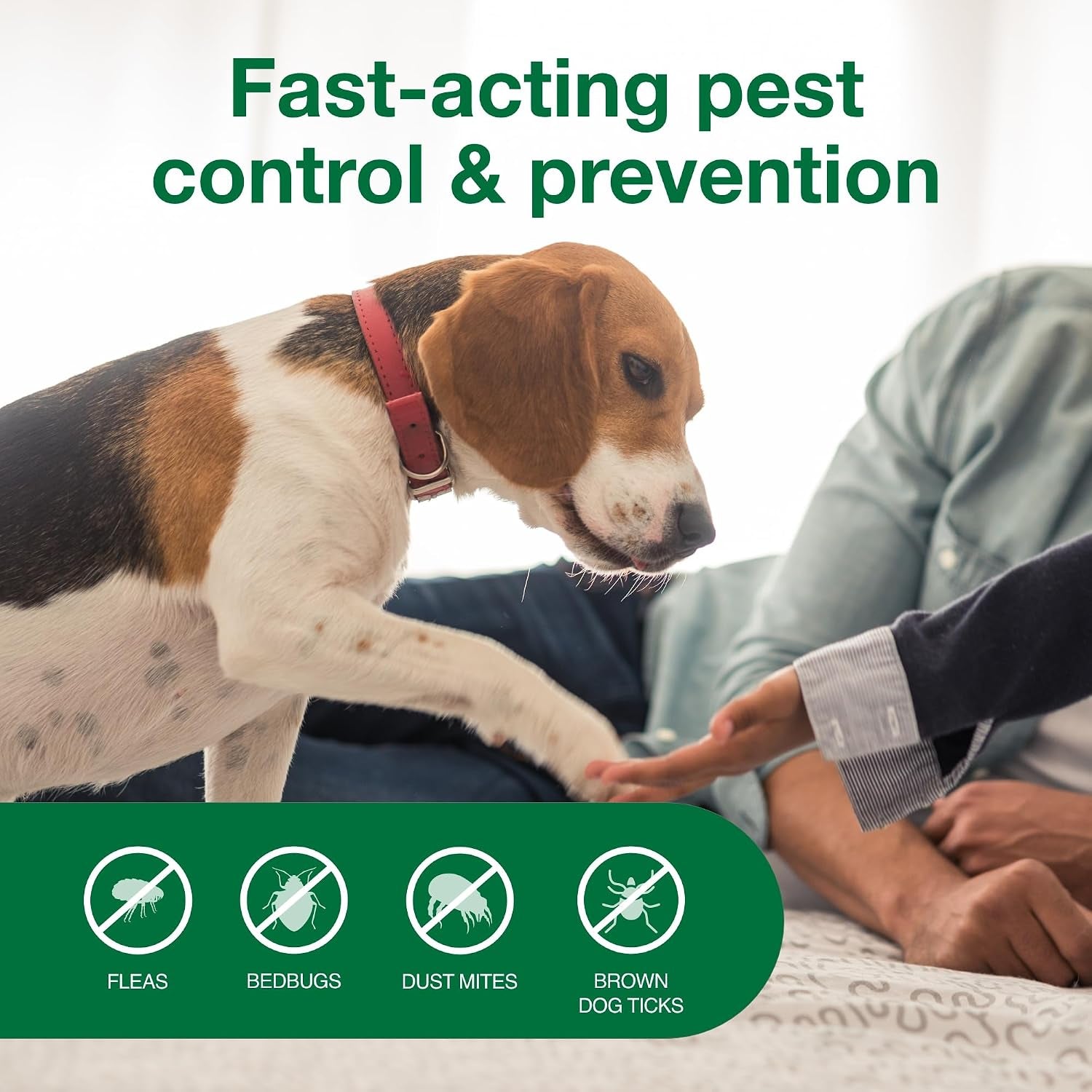 advantage-carpet-upholstery-spot-spray-kills-fleas-ticks-bedbugs-16-oz