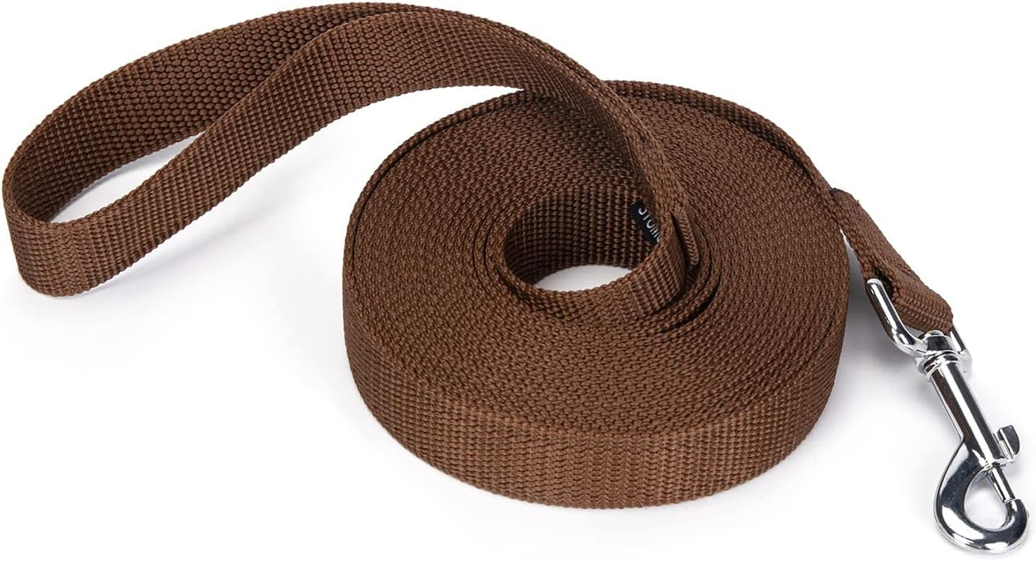 strong-durable-nylon-10ft-long-dog-training-leash-traction-rope-1-inch-wide-for-small-and-medium-dog-black-10-feet