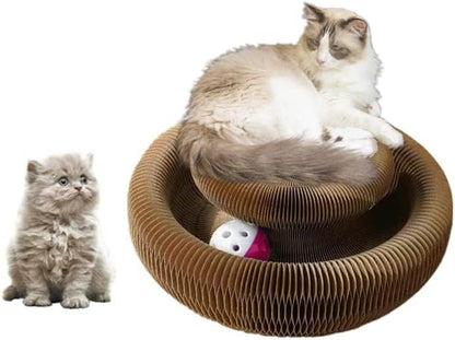 Enkman Kitty Kurlz Magic Organ Cat Scratcher Board Cat Ball Adventure the Ultimate Interactive Mental Physical Exercise for Indoor Cats Toy2