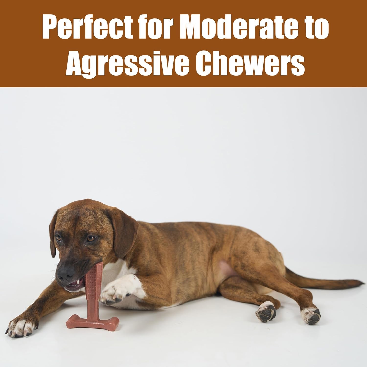 spot-bam-bones-plus-t-bone-bamboo-fiber-nylon-dog-chew-toy-for-moderate-to-aggressive-chewers-durable-long-lasting-non-splintering-beef-flavor-toy-for-adult-dogs-puppies-under-60-lbs-6-in