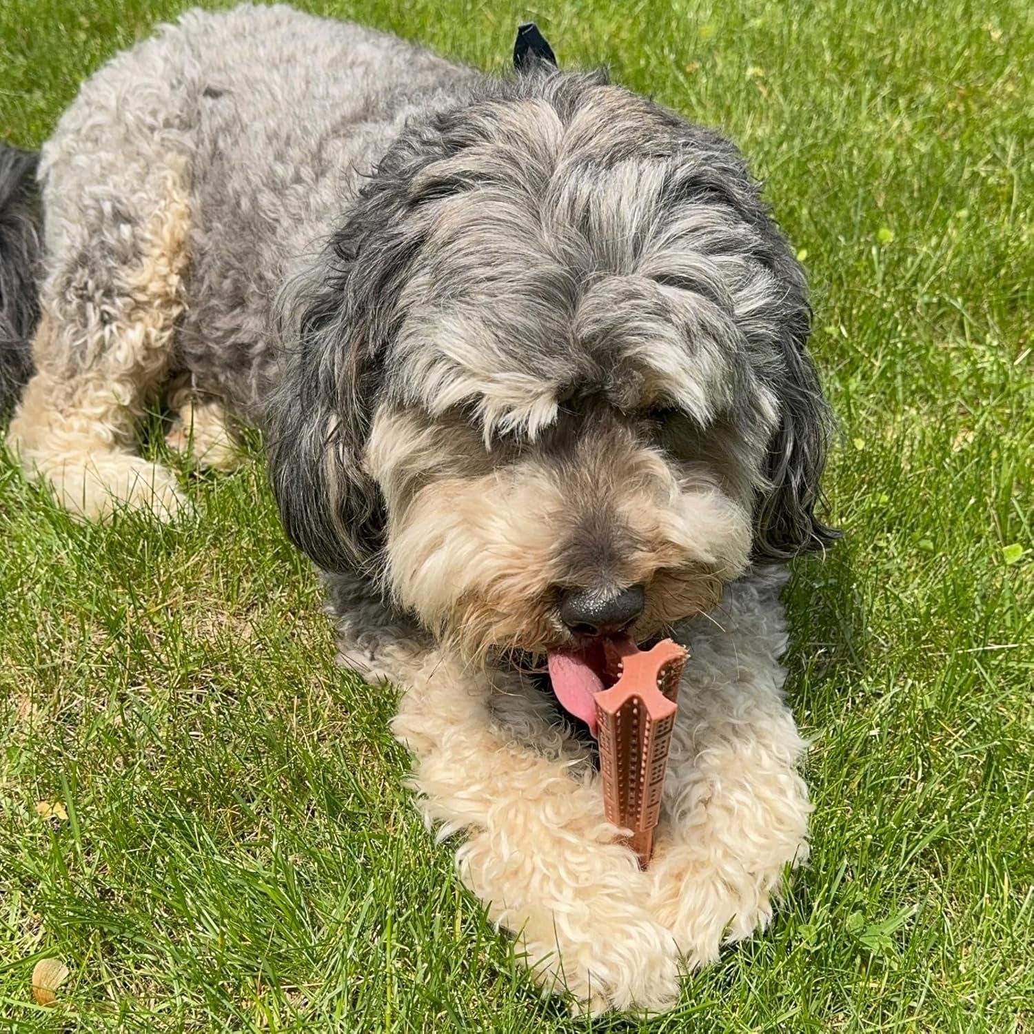 spot-bam-bones-plus-t-bone-bamboo-fiber-nylon-dog-chew-toy-for-moderate-to-aggressive-chewers-durable-long-lasting-non-splintering-beef-flavor-toy-for-adult-dogs-puppies-under-60-lbs-6-in