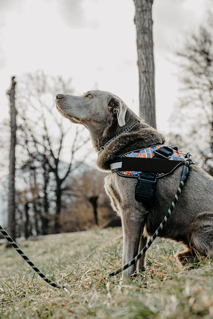 DOGGYKINGDOM No Choke Dog Harness with Handle and Patch Panels, Adjustable Reflective Dog Vest for Small Sized Dog, Blue, S9