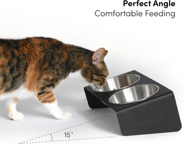 Xympo Elevated Pet Bowl, for Cats and Small Dogs2