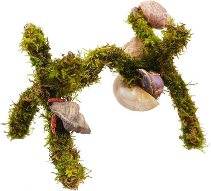 Hermit Crab Accessories, Adjustable Hermit Crab Climbing Toys（6 Inch）1