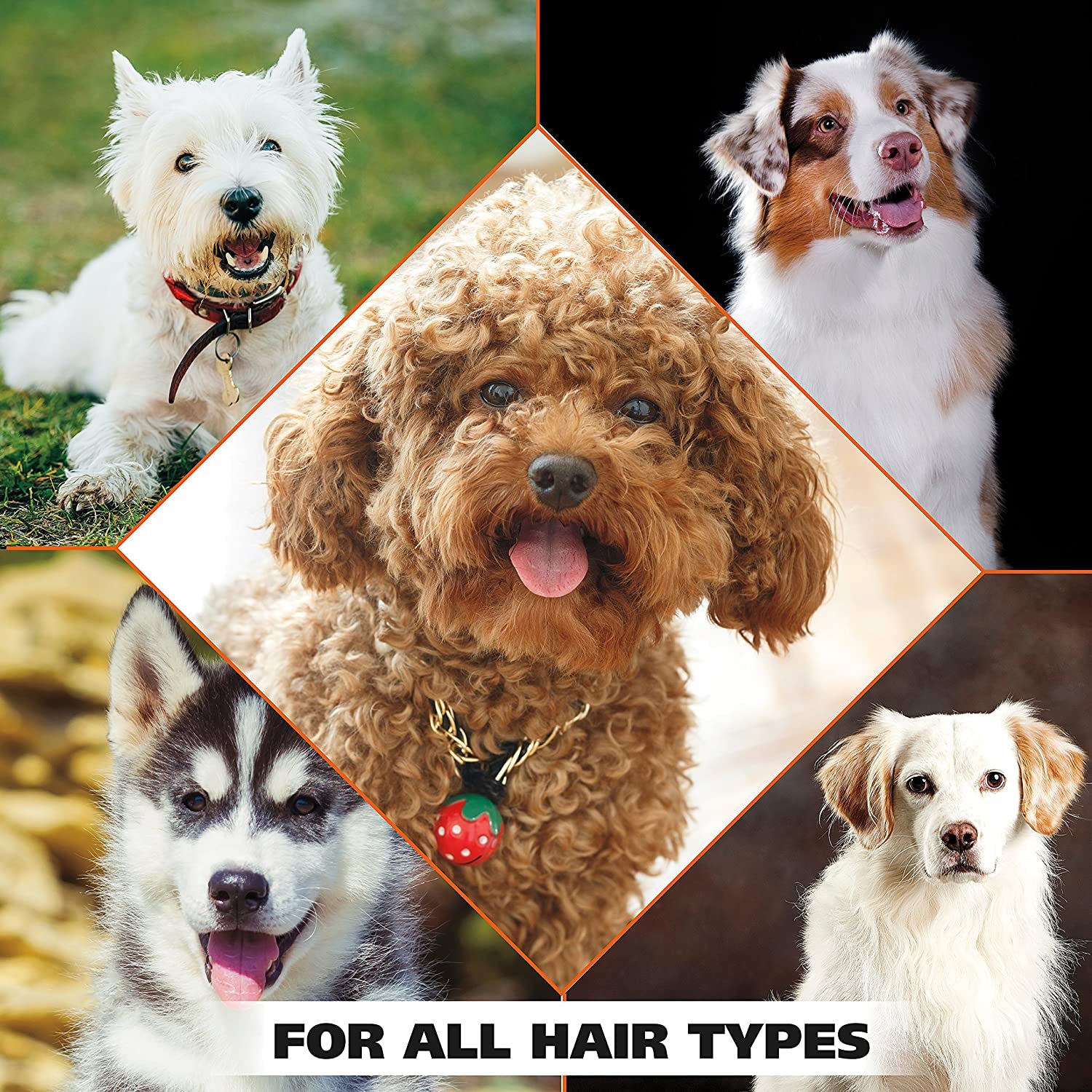 wahl-usa-dry-skin-itch-relief-pet-shampoo-for-dogs-oatmeal-formula-with-coconut-lime-verbena-scent-pet-friendly-formula-24-oz-model-820004a-oatmeal-formula-moisturizes-skin-provides-itch-relief-for-sensitive-skin-dogs-pet-friendly-formula-model-820004a