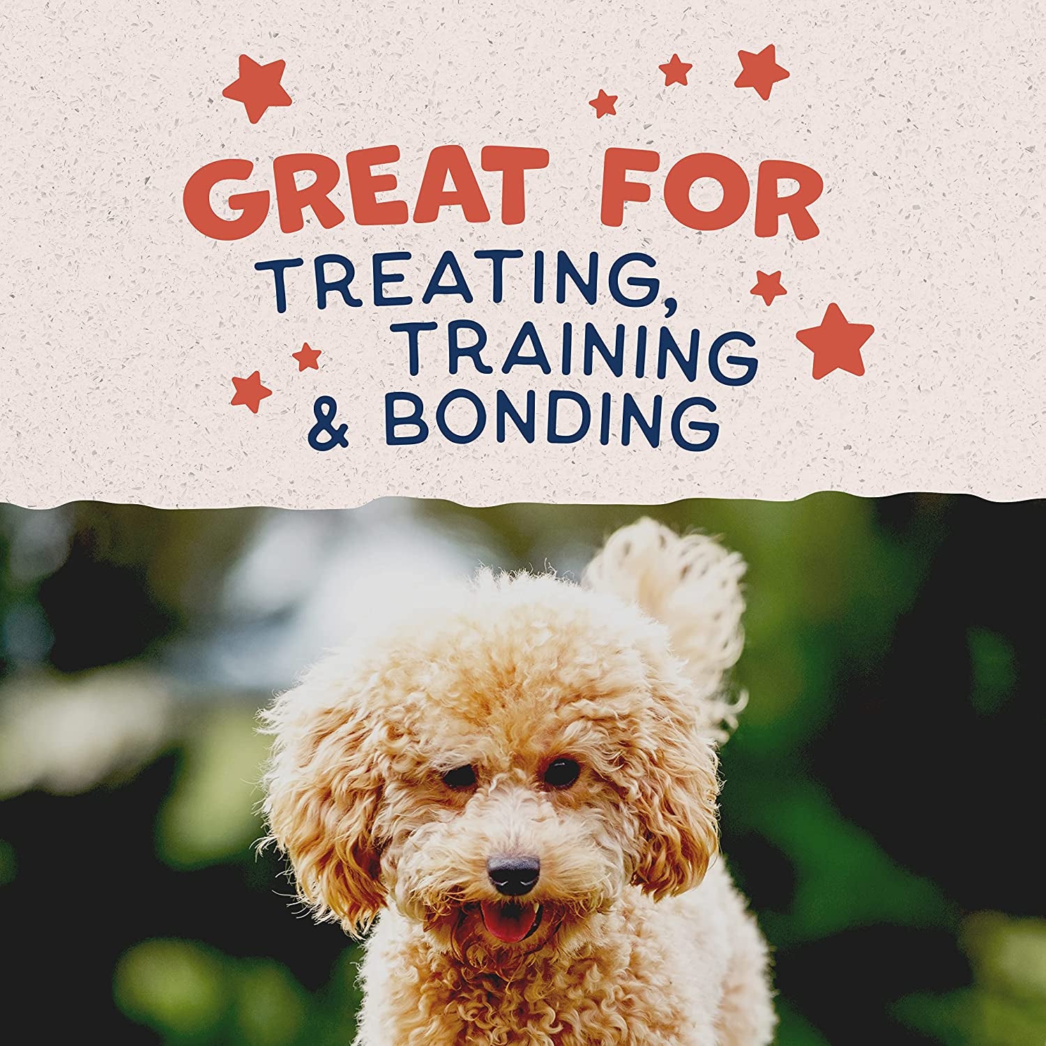 natural-balance-limited-ingredient-mini-rewards-salmon-grain-free-dog-training-treats-for-dogs-5-3-ounce-canister