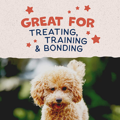 Natural Balance Limited Ingredient Mini-Rewards Salmon Grain-Free Dog Training Treats for Dogs | 5.3 Ounce Canister7