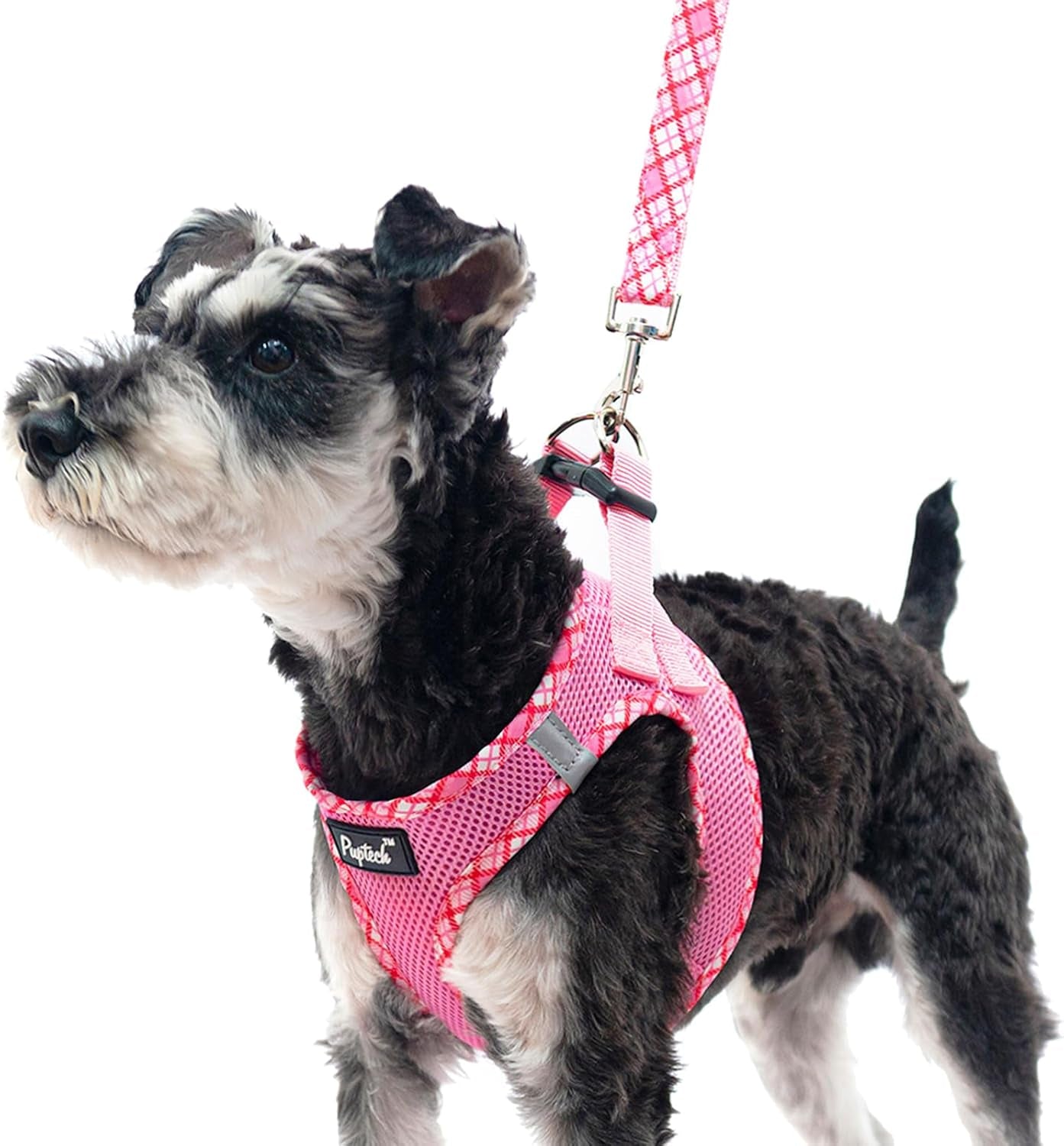 pupteck-dog-harness-and-leash-set-for-small-medium-dogs-no-pull-step-in-soft-mesh-puppy-cat-vest-harnesses-reflective-at-night-green-s