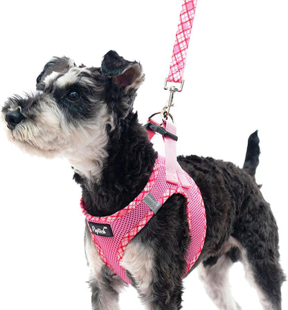 PUPTECK Dog Harness and Leash Set for Small Medium Dogs No Pull Step-In Soft Mesh Puppy Cat Vest Harnesses Reflective at Night, Green S32
