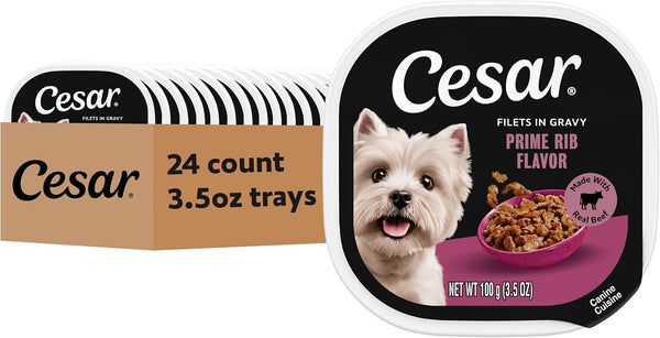 Cesar Filets in Gravy Wet Dog Food, Filet Mignon Flavor, 3.5 Oz, 24 Count | Real Beef, Easy to Digest, No Fillers, No Added Sugar, No Artificial Flavors, Slow-Cooked Tender Texture, Easy Peel Trays15