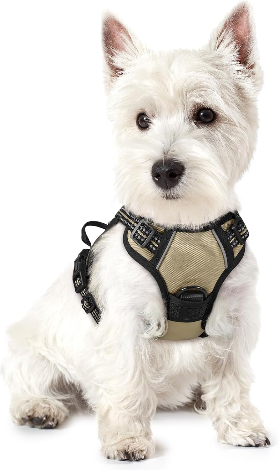 rabbitgoo-dog-harness-no-pull-for-large-dogs-with-2-leash-clips-pet-vest-no-choke-with-handle-adjustable-soft-padded-reflective-easy-control-for-walking-black-large