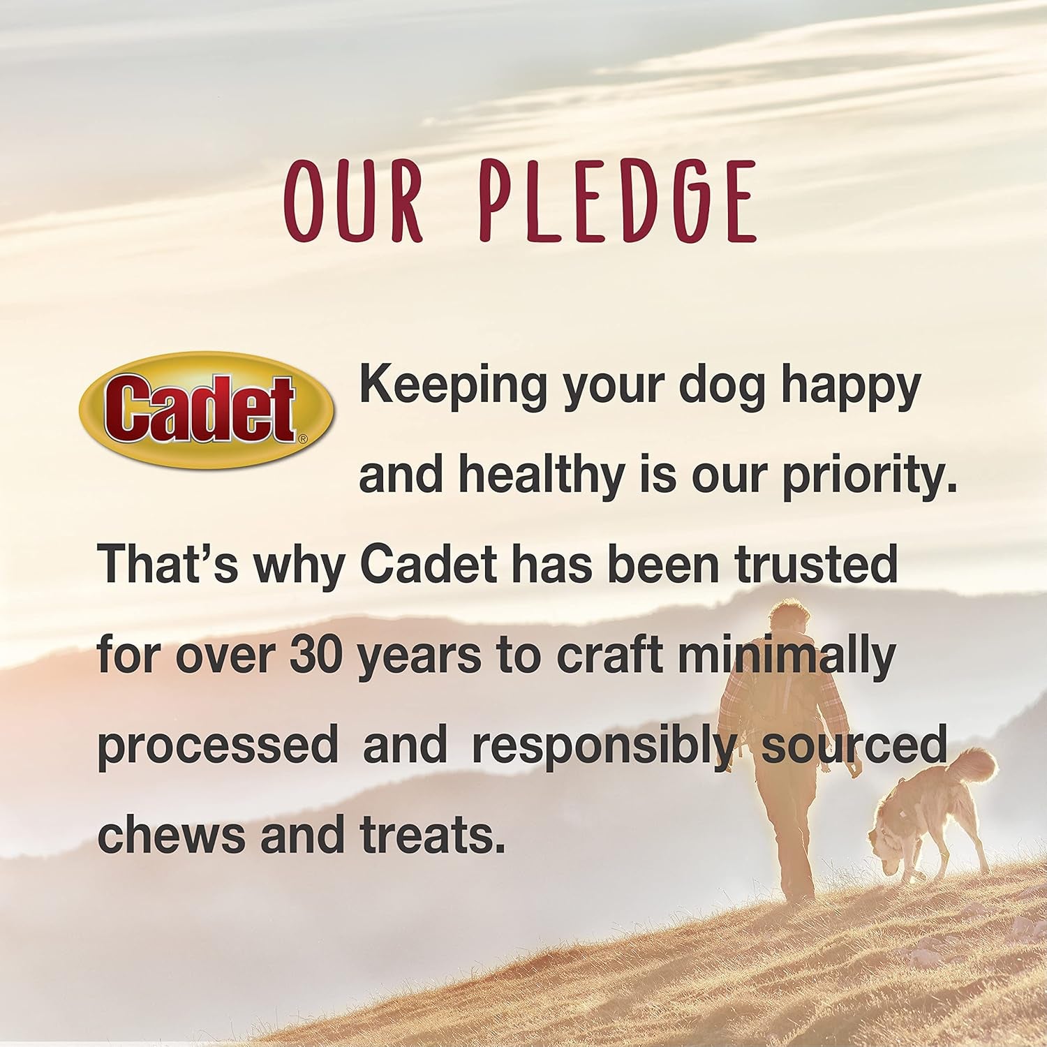 cadet-stuffed-shin-bone-long-lasting-dog-chew-bones-for-aggressive-chewers-high-protein-filled-bone-dental-chew-for-dogs-peanut-butter-flavor-filling-3-4-for-small-dogs-3-pack