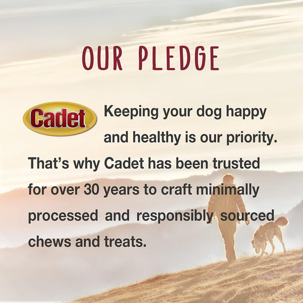 Cadet Stuffed Shin Bones for Dogs, Peanut Butter Flavor, Large, 5-6" | Long Lasting Dog Chew Bone for Aggressive Chewers, Supports Dental Health, Dog Bones for Large Dogs, Keeps Dogs Busy10