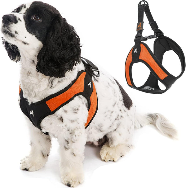 Gooby - Escape Free Easy Fit Harness, Small Dog Step-In Harness for Dogs That like to Escape Their Harness, Turquoise, Small12