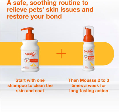 Douxo S3 PYO Medicated Dog Shampoo with 3% Chlorhexidine for Dogs – Antibacterial & Antiseptic Yeast Infection Treatment for Dogs & Cats, Clinically Proven, 6.7 Fl Oz | Antibacterial & Antiseptic Yeast Infection Treatment for Dogs & Cats, Clinically Proven, 6.7 Fl Oz10