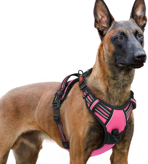 Rabbitgoo Dog Harness Medium Sized, Updated Easy on & off with 3 Buckles | No Pull No Choke, Walking with 2 Clips and Handle, Adjustable Soft Reflective, Blue, Medium55