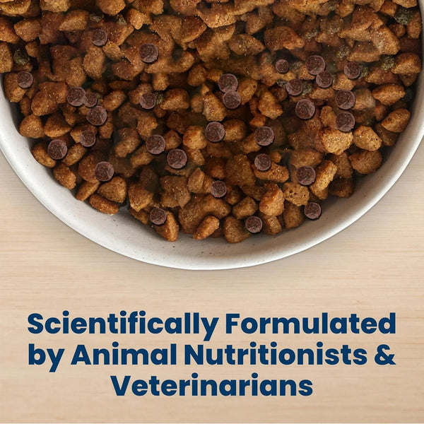 Dry dog food kibble in white bowl, scientifically formulated for pets, with visible texture and small dark pieces11