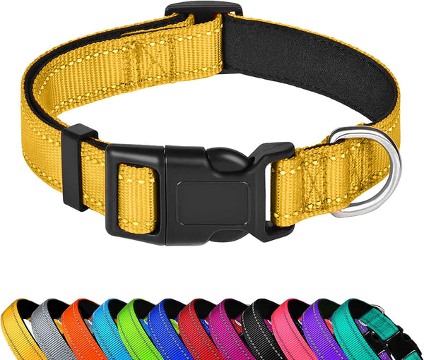 Reflective Dog Collar, Adjustable Soft Neoprene Padded,Teal,M | Breathable Nylon for Medium Dogs,Tear-Resistant Webbing,Chafe‑Free on Walks and Hikes,Metal D-Ring,Night Safety16
