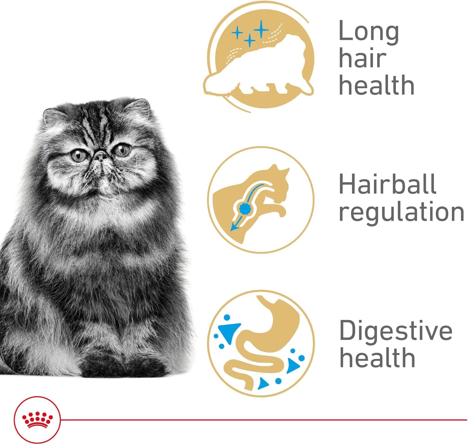 royal-canin-feline-breed-nutrition-persian-adult-dry-cat-food-7-lb-bag-tailored-nutrition-for-persian-cats-specialized-kibble-shape-supports-healthy-coat-ideal-for-adult-cats