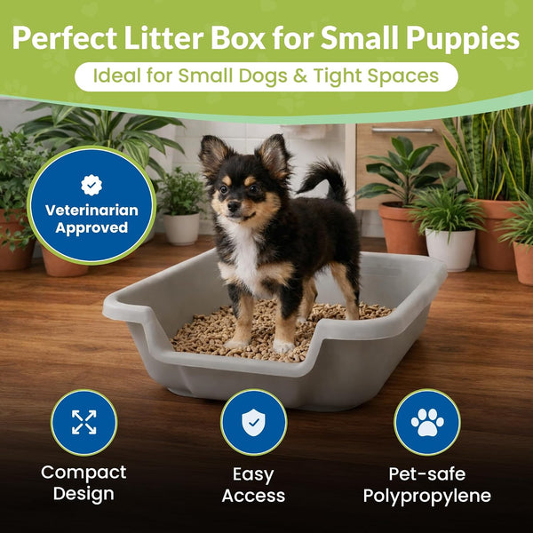 Small Gray Litter Box, Durable & Pet Safe, Open Top Entry, Comfortable for Dogs up to 6 Lbs2
