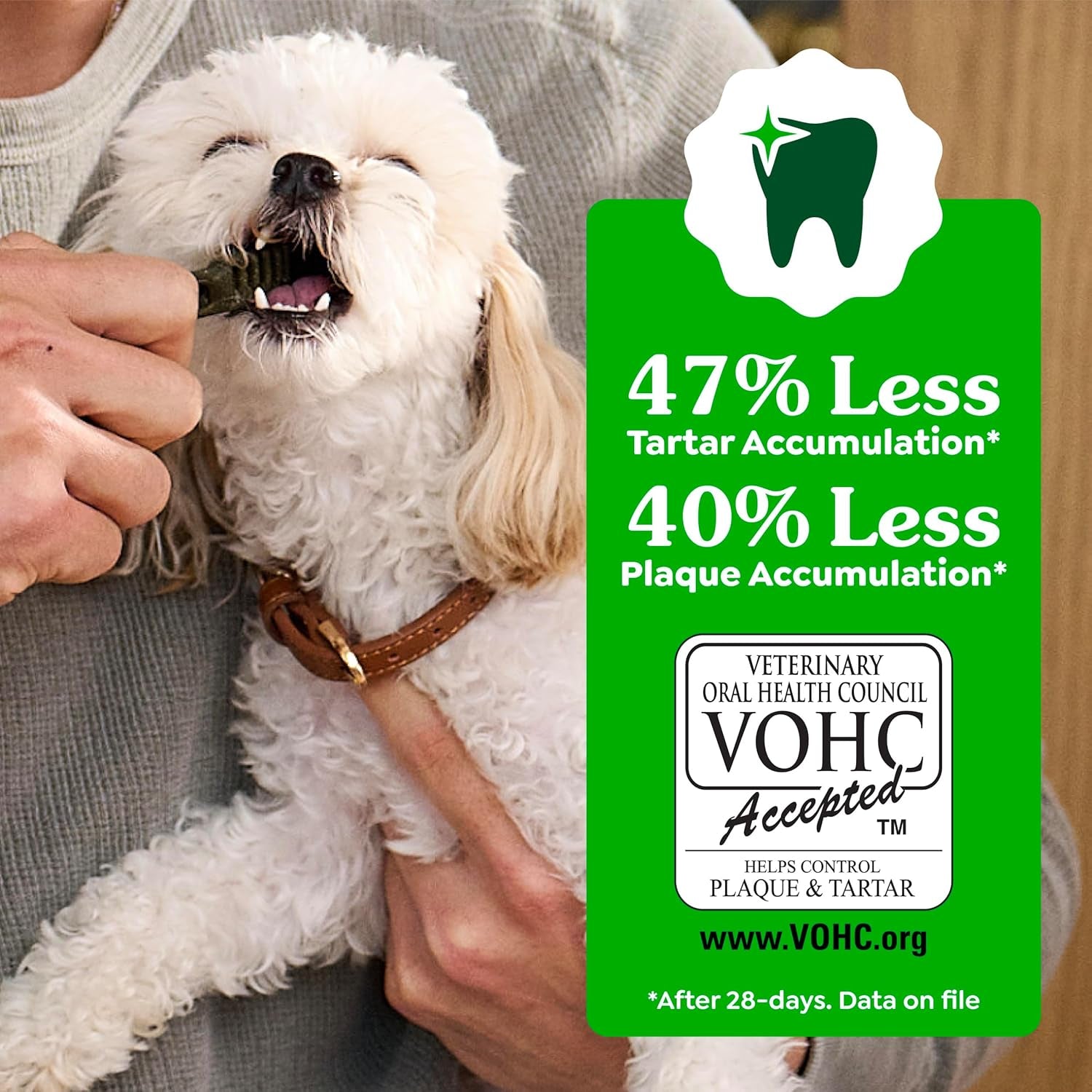 greenies-regular-natural-dental-dog-treats-fresh-mint-flavor-12-count-for-dogs-25-50-lbs-clinically-proven-47-less-tartar-40-less-plaque-in-28-days-cleans-to-gumline-12-oz-pack