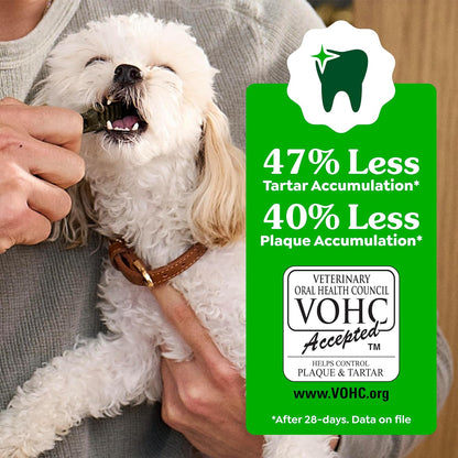 Greenies Regular Dental Dog Treats, Original Chicken Flavor, 36 Count | Clinically-Proven, Veterinarian-Recommended, 47% Less Tartar & 40% Less Plaque in 28 Days, for Dogs 25-50 Lbs, 36 Oz. Pack6