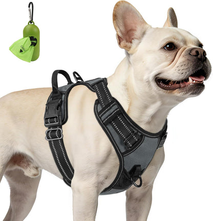 Joytale No Pull Dog Harness Medium Sized Dog, Front Clip, Black | Grab Handle for Instant Control, Padded & Adjustable Vest, Sturdy Metal D-Rings, for Safe Training & Daily Walking28
